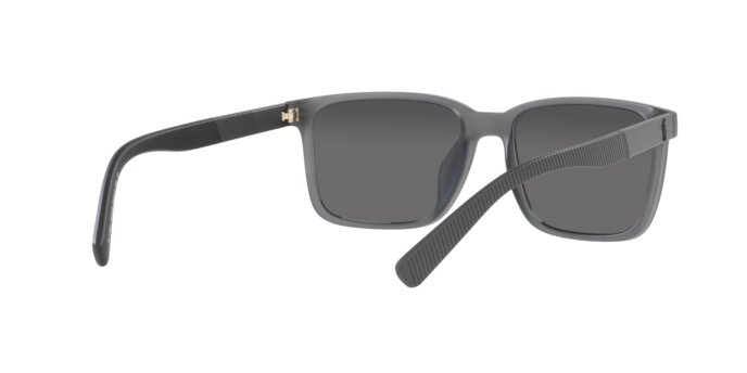 Polo Ralph Lauren PH4189U 5696Z3  